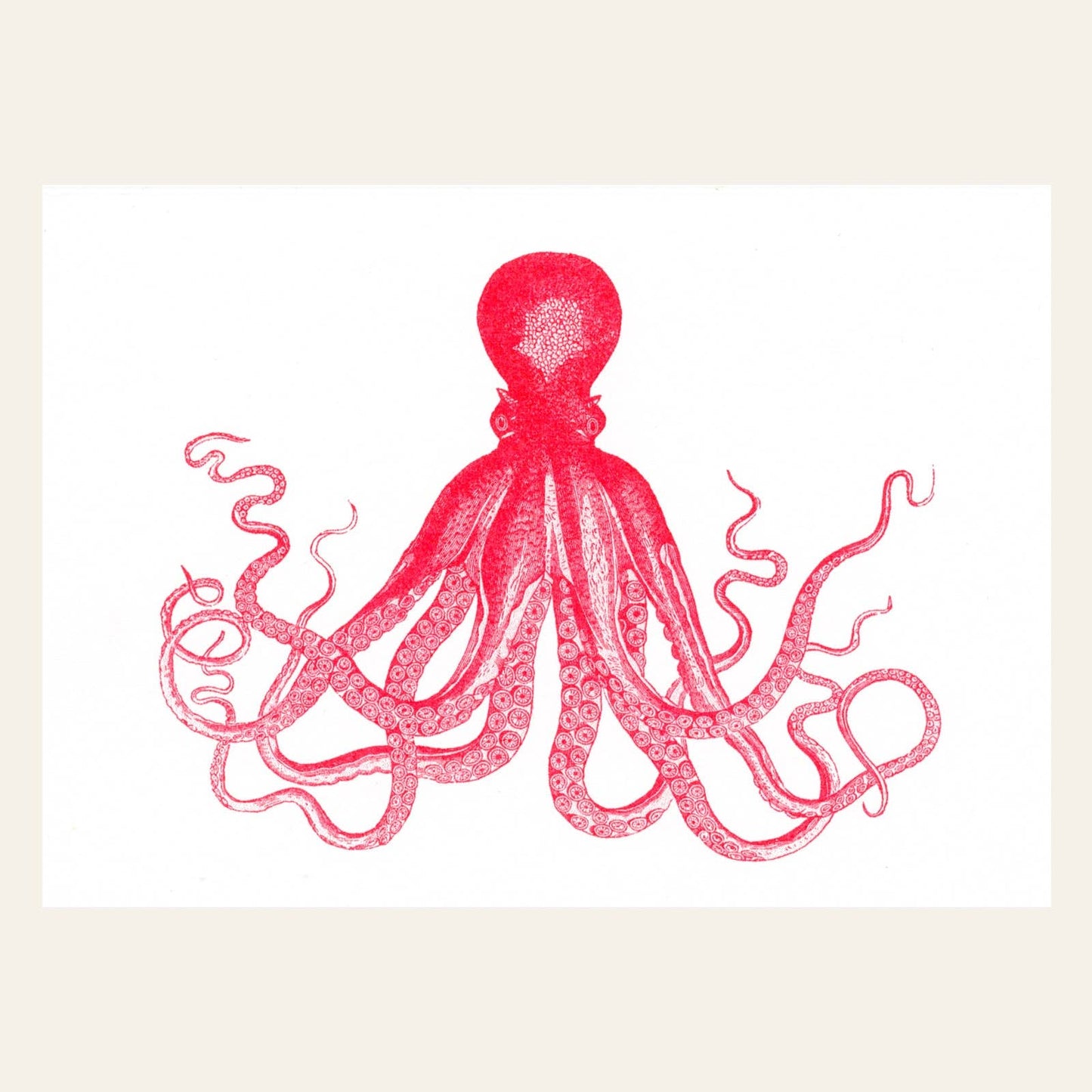Red Octopus Postcard