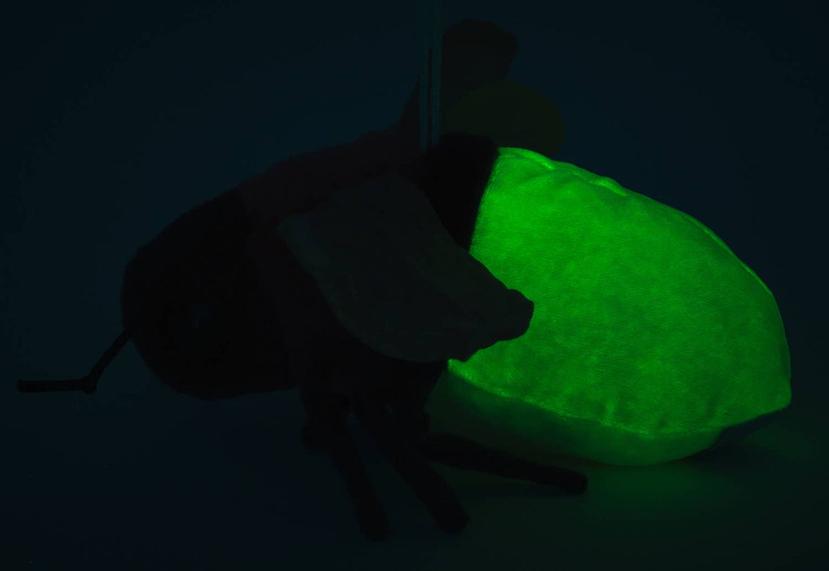 Fluorescent firefly plush toy