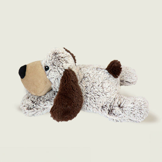 Chien déhoussable bouillotte Warmies