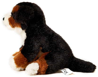 Plush Bernese Mountain Dog Puppy, sitting