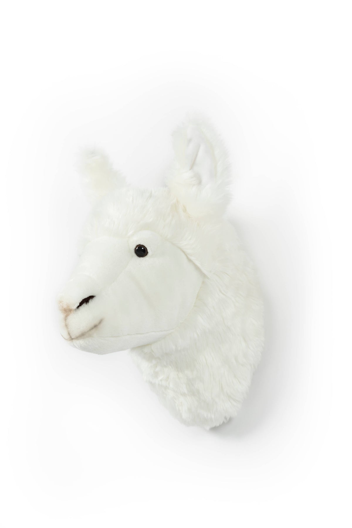 Lily the llama plush wall decor