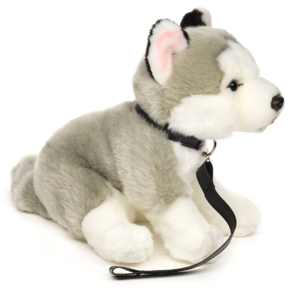 Peluche Husky Gris, Assis (avec Laisse) - 24 cm (Hauteur)