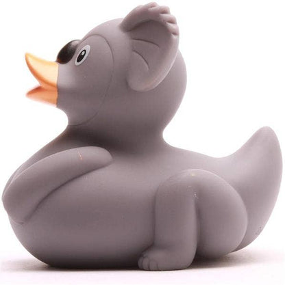 Canard koala