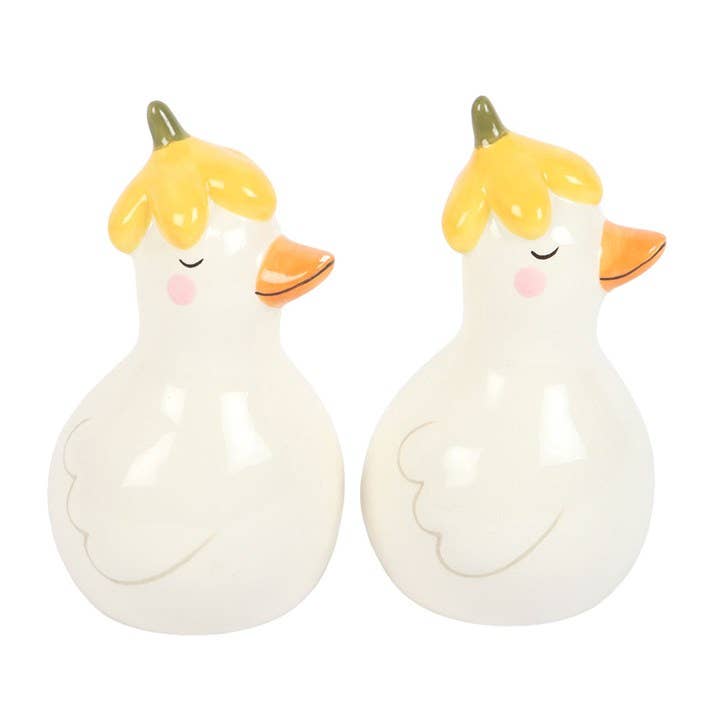 Salière et Poivrière Canards Floral