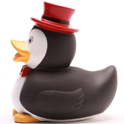 Canard Pingouin