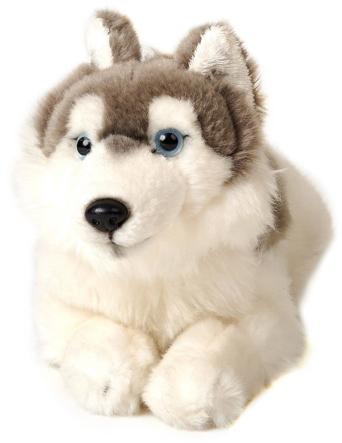 Peluche Husky gris, couché