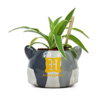 Harry Potter Flower Pot - Hufflepuff House