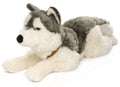 Peluche Husky Couché (avec Harnais) - 62 cm (Longueur)