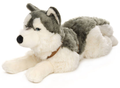 Peluche Husky, couché (avec harnais)