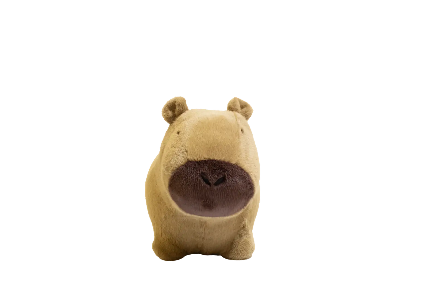 Soft and bouncy capybara