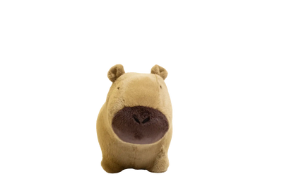 Soft and bouncy capybara