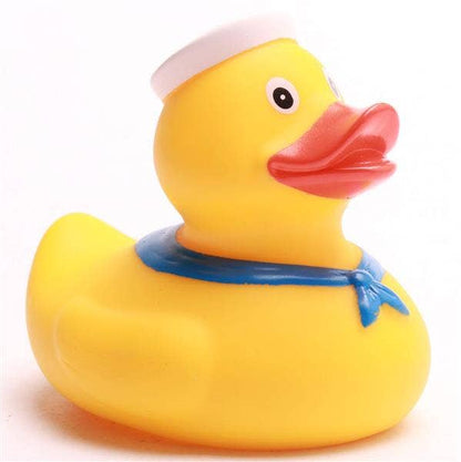 Sea Duck