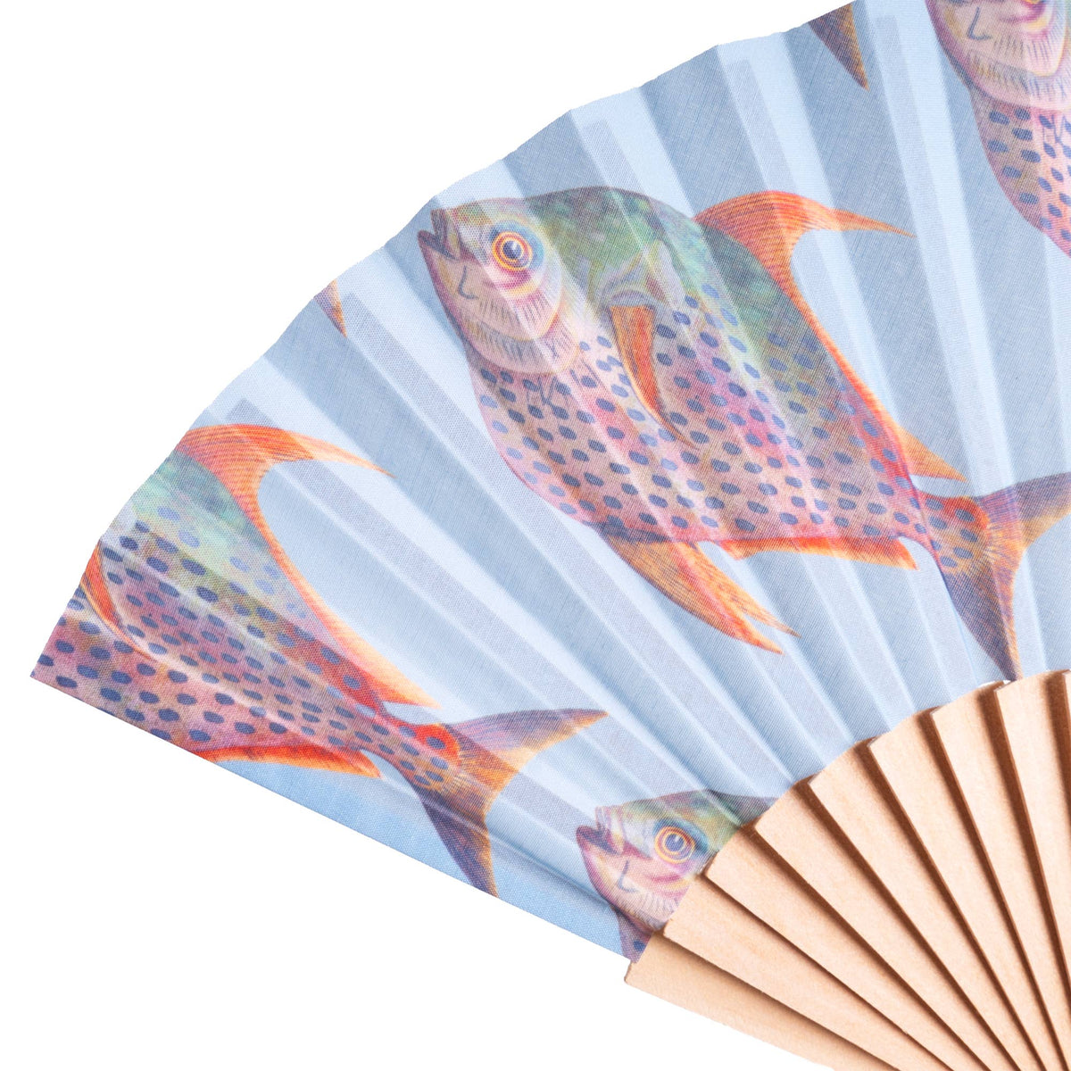 Fish Fan