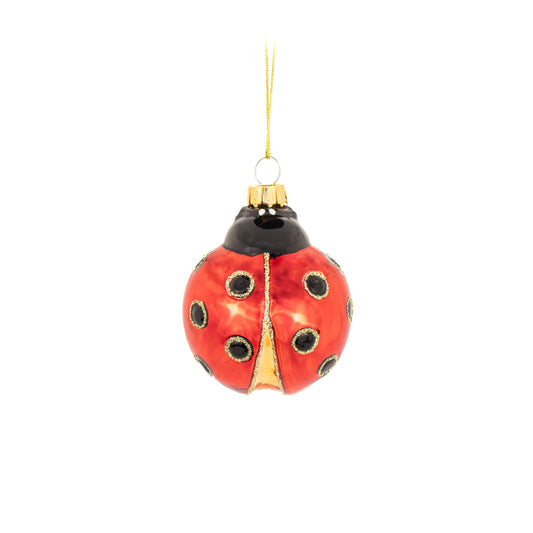 Ladybug-shaped ball