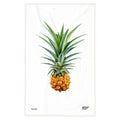 Mr. Pineapple Dishcloth