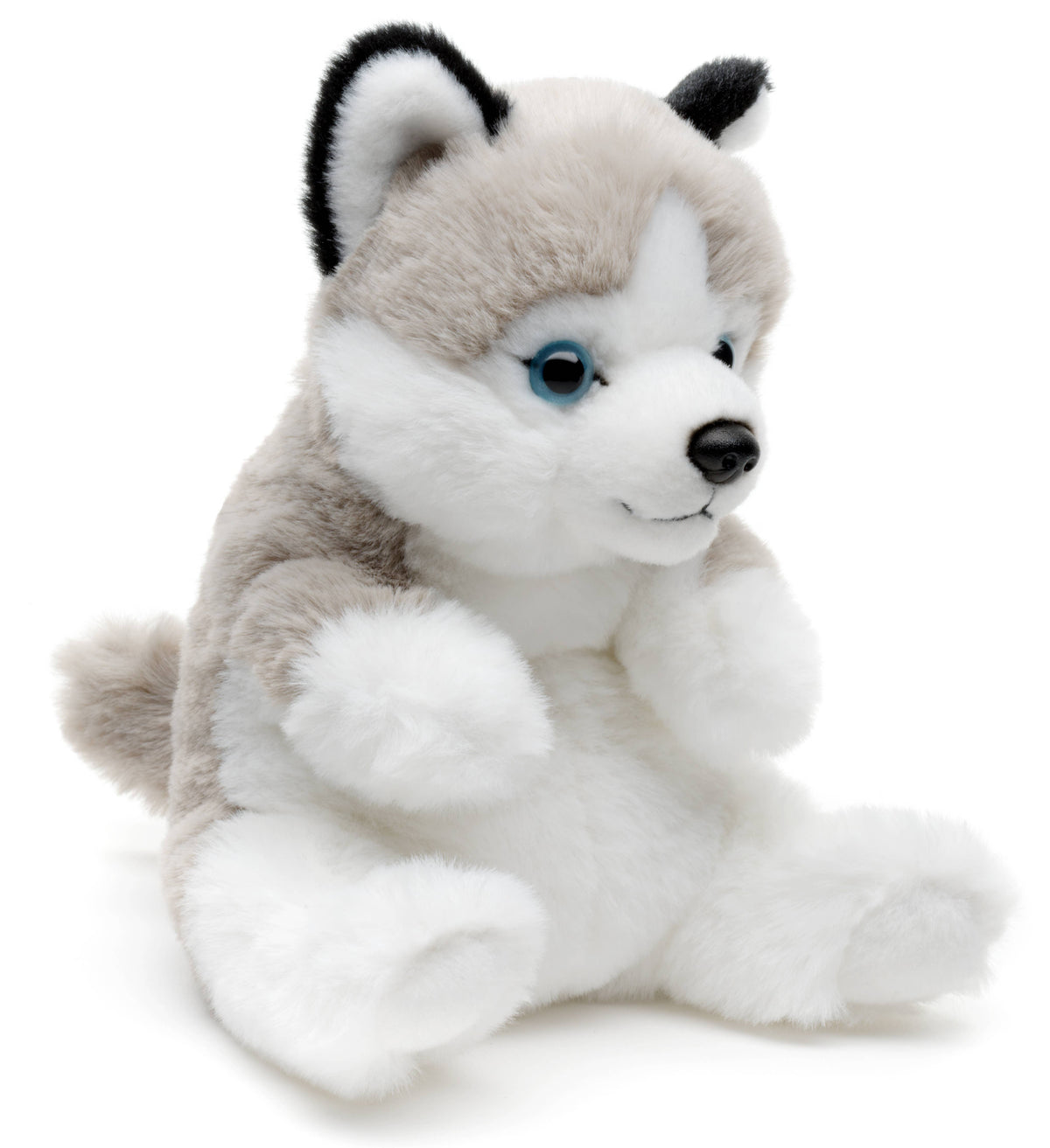 Sitting husky plush toy, or