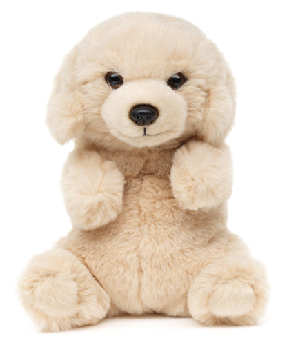 Peluche Labrador, assis kawaii