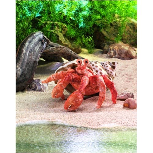 Hermit crab hand puppet