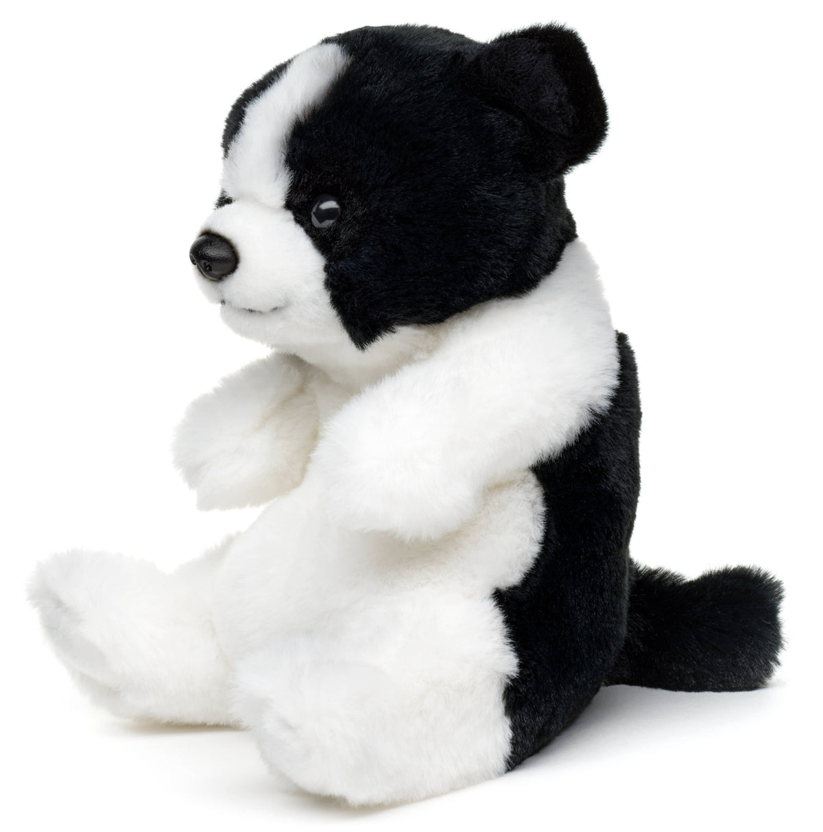 Plush border collie sitting