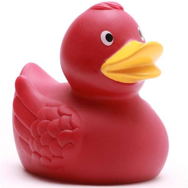 Duck with wings Bordeaux