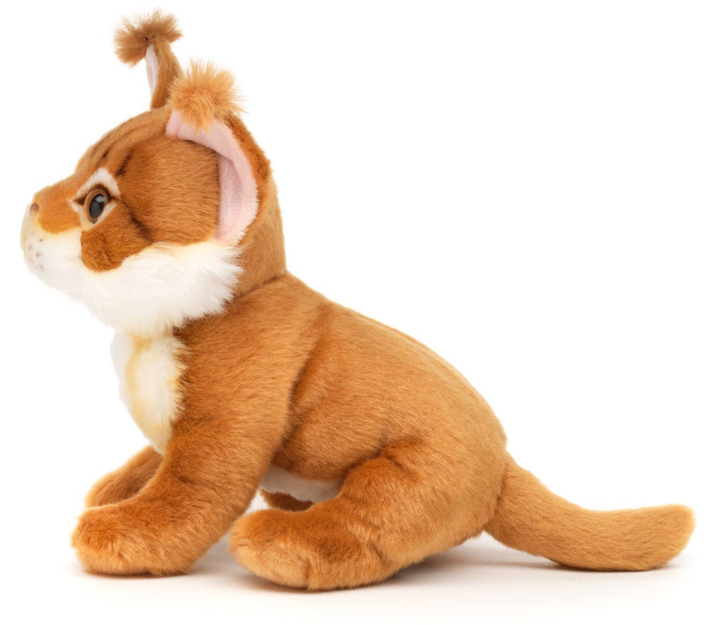 Peluche chat maine coon