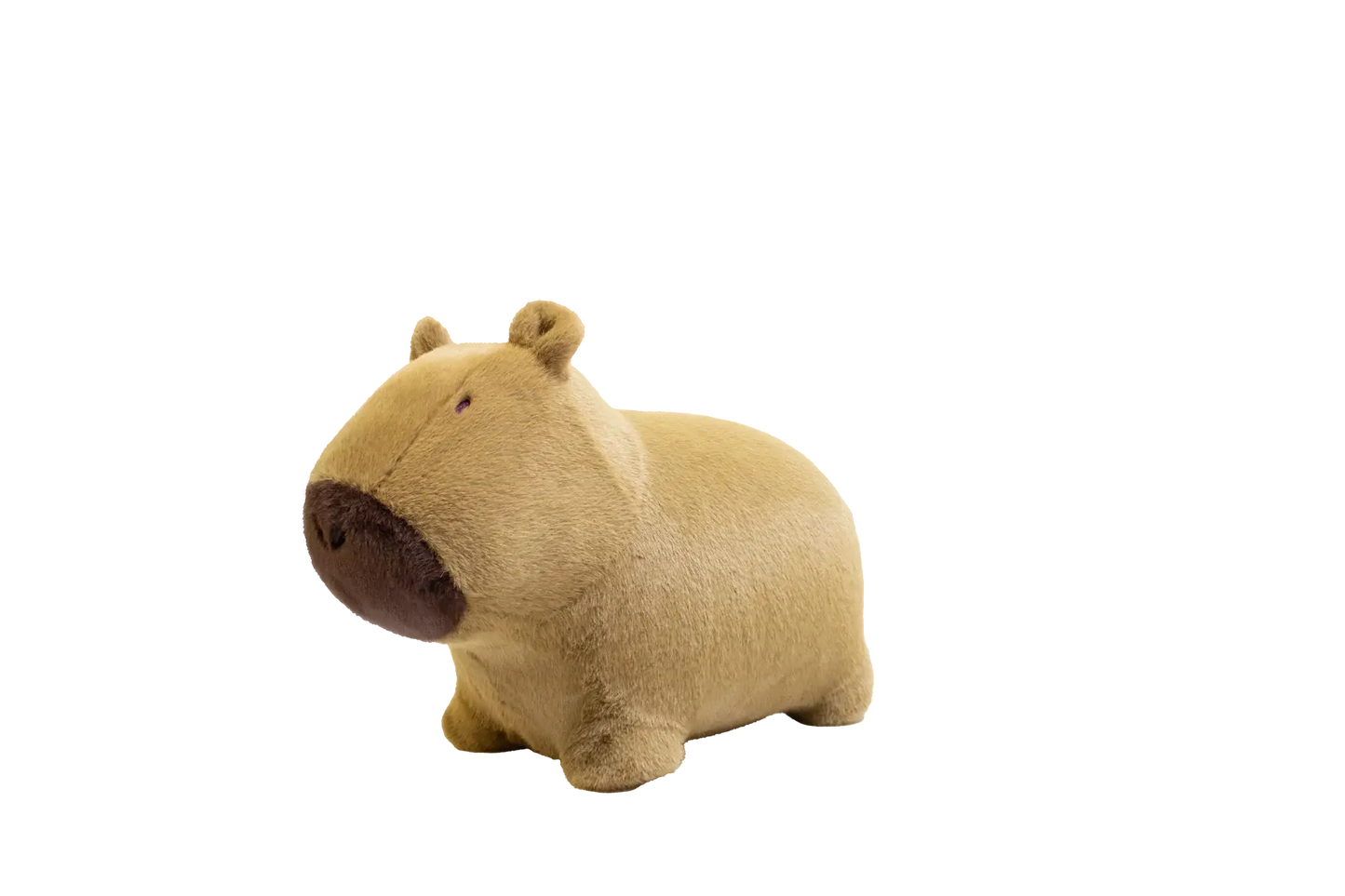 Soft and bouncy capybara