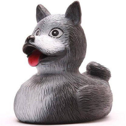 Canard Husky