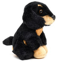 Peluche Teckel, Assise, 13 cm (Hauteur)