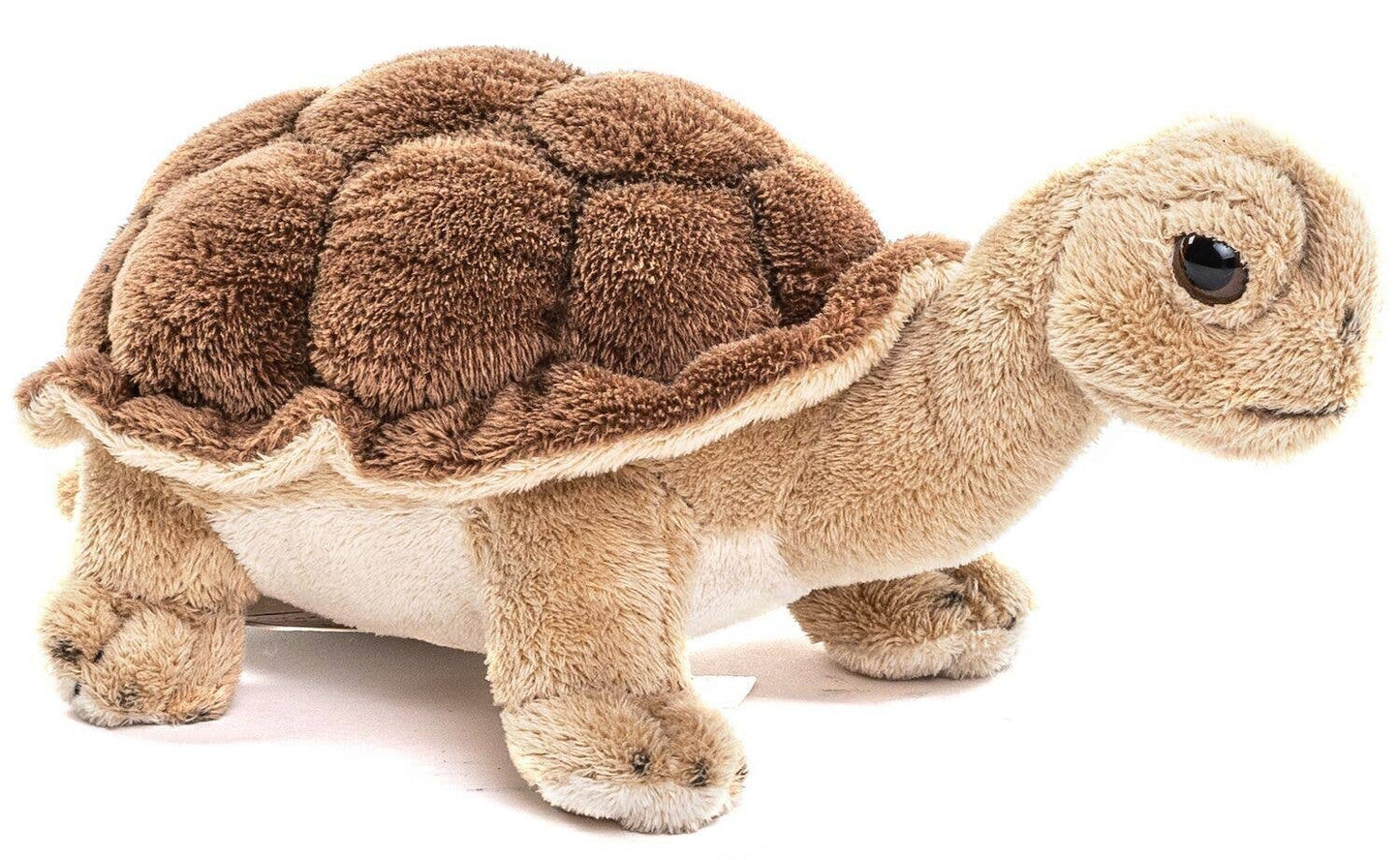 Knuffelschildpad