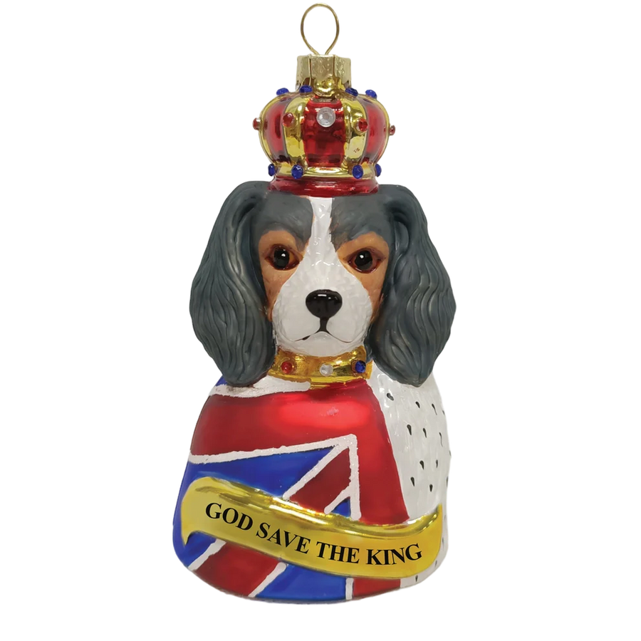 Cavalier King Charles Spaniel