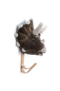 Dinosaur Coat Rack
