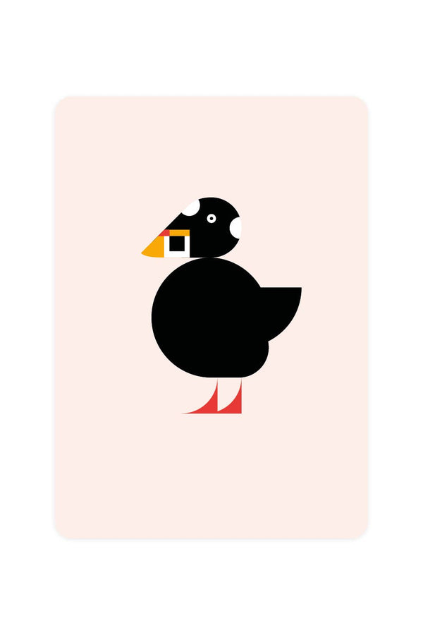Postcard with Spectacled Duck