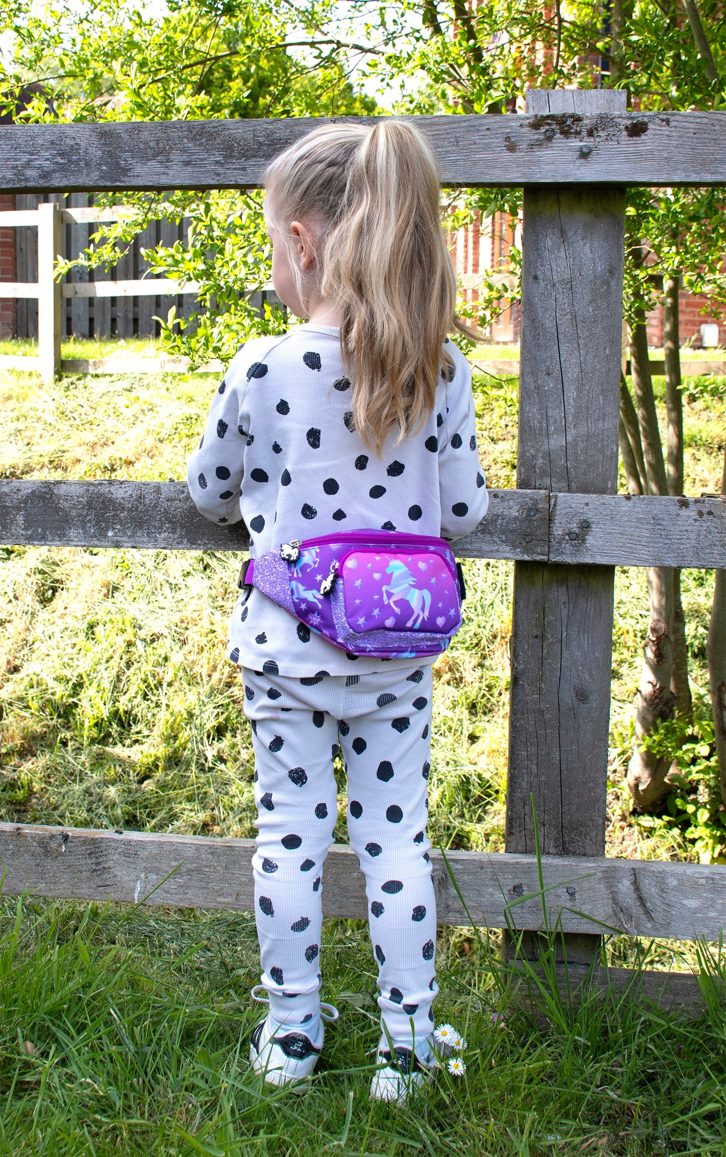Belt Sac banane – licorne Ombre