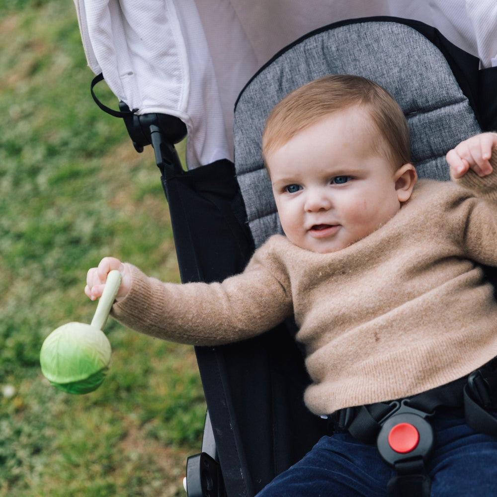 Chou vert – Hochet bébé