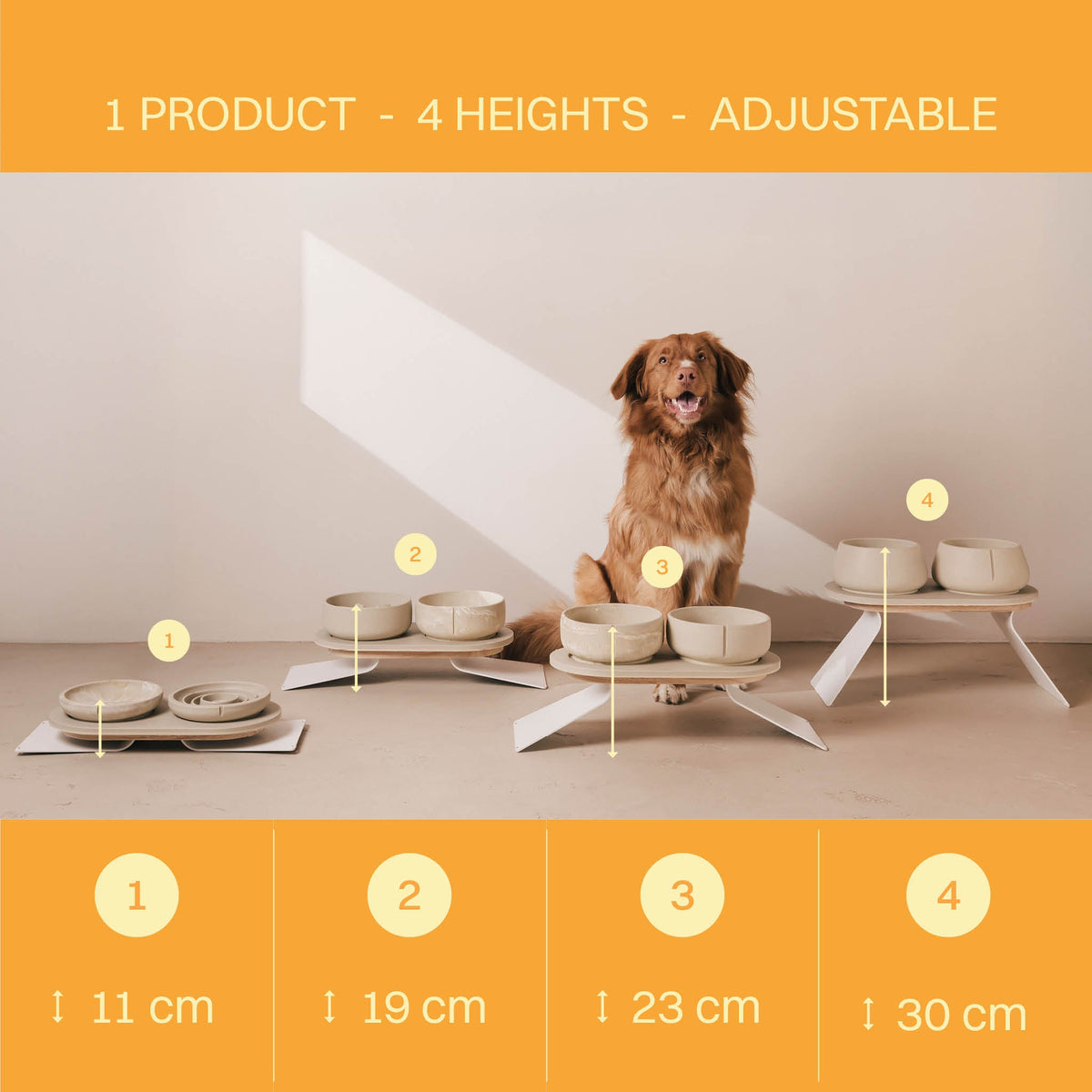 Perfect Posture set voor honden – productweergave 7