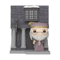 Pop! La Tête de Sanglier w/Dumbledore - Chambre des Secrets