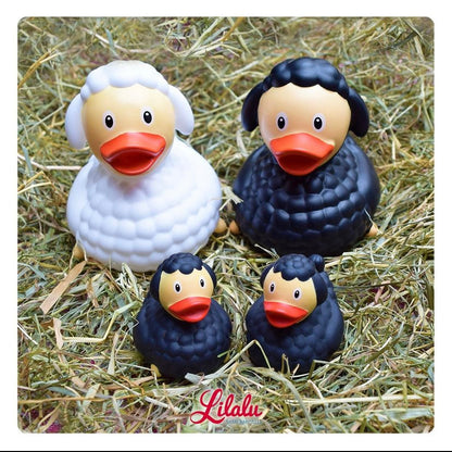 Mini Canard Mouton Noir