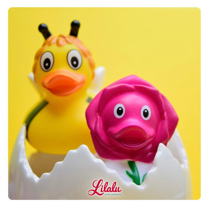 Rose duck