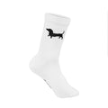 Chaussettes Teckel