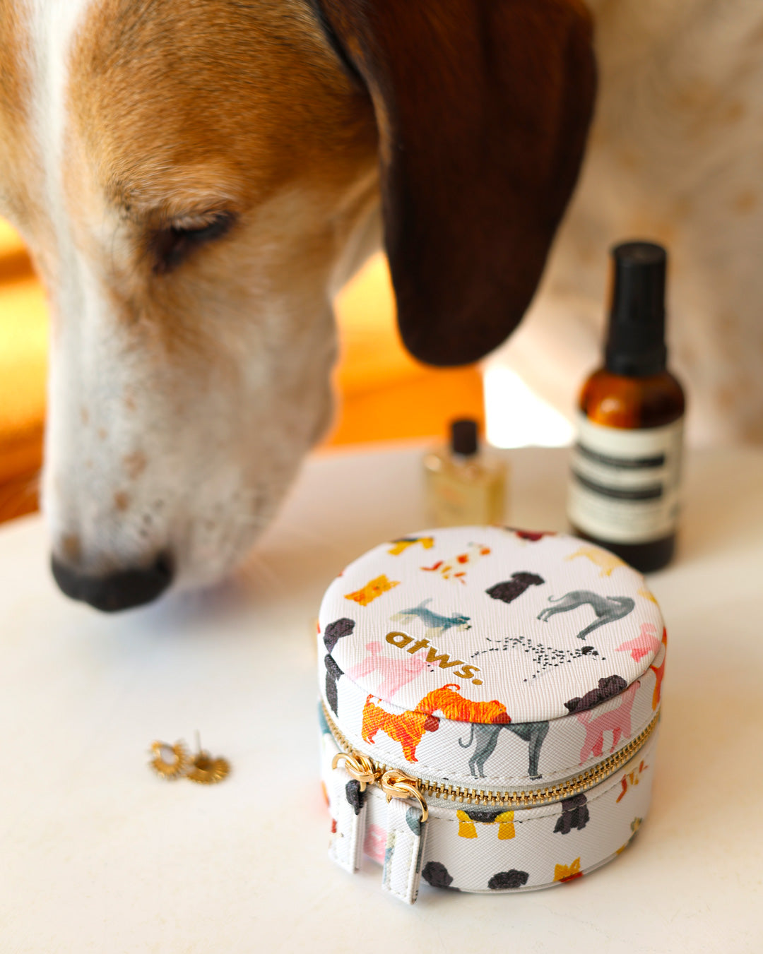 Dogs - Jewelry box