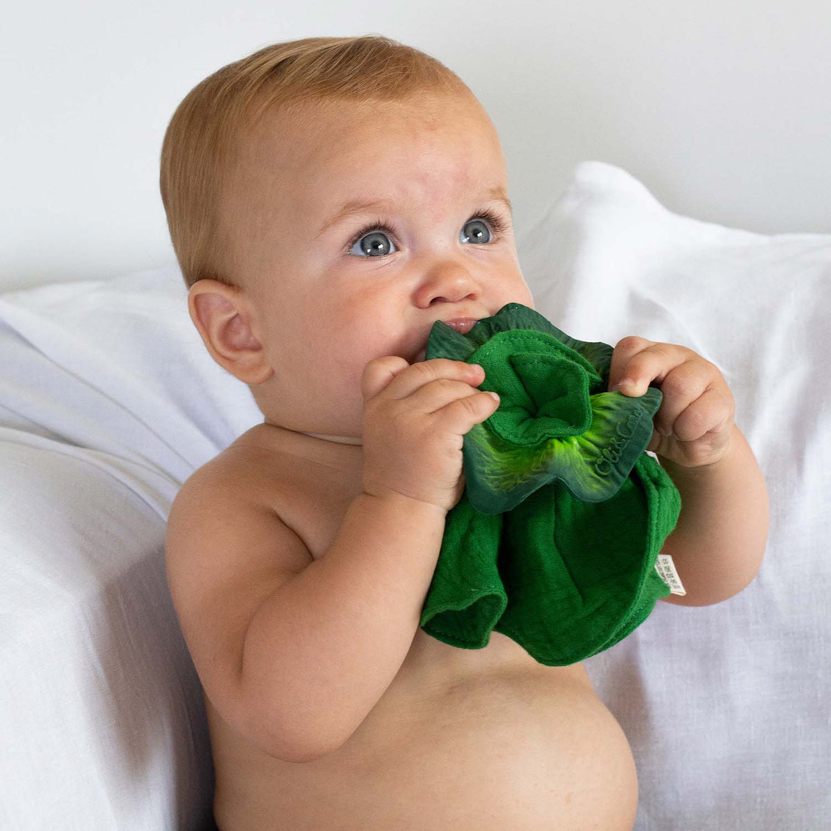 Kendall the Kale Mini Plush Teether