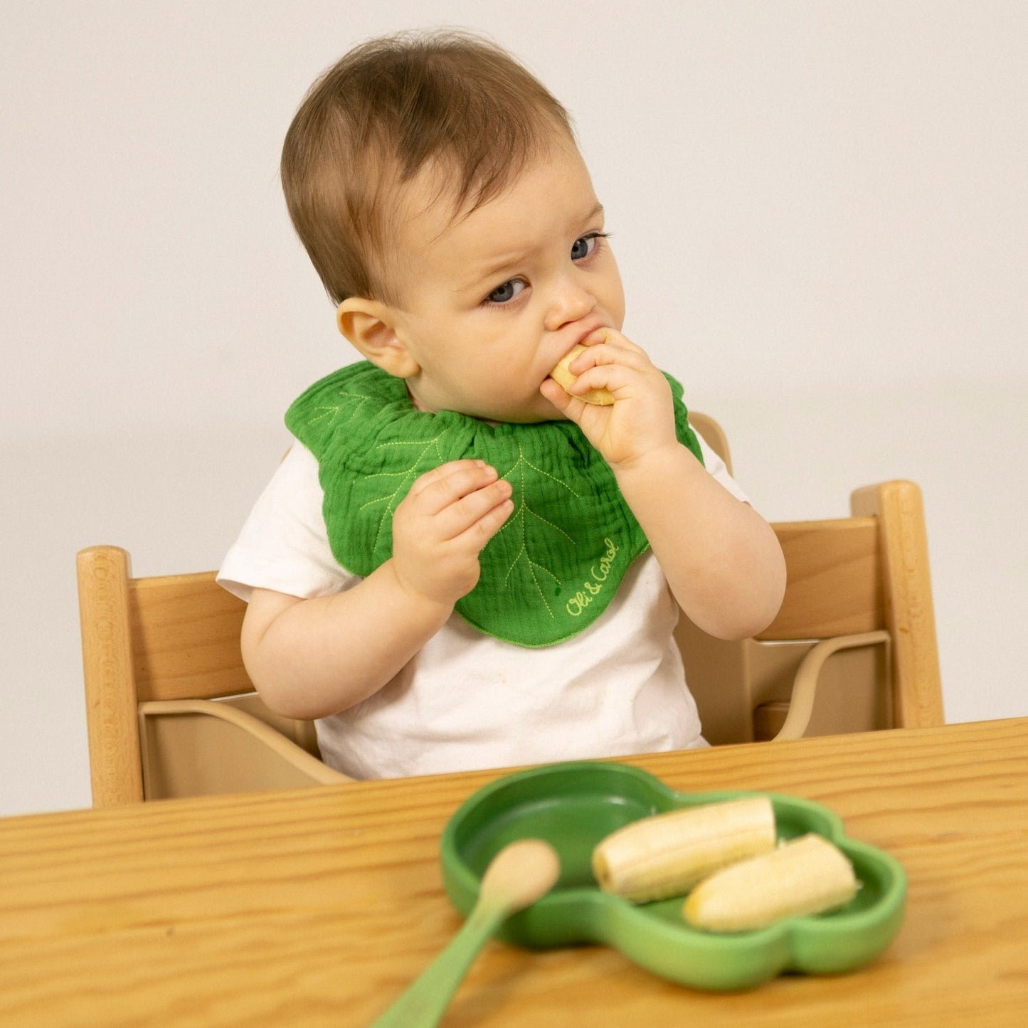 Baby Gift Set - Green Bite Pack