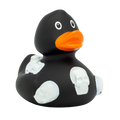 Eend 3D-Schedel