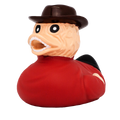 Eend Het Gezicht