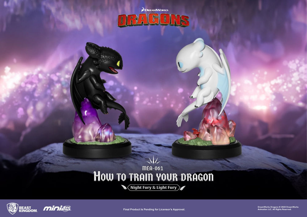 Toothless & Light Fury