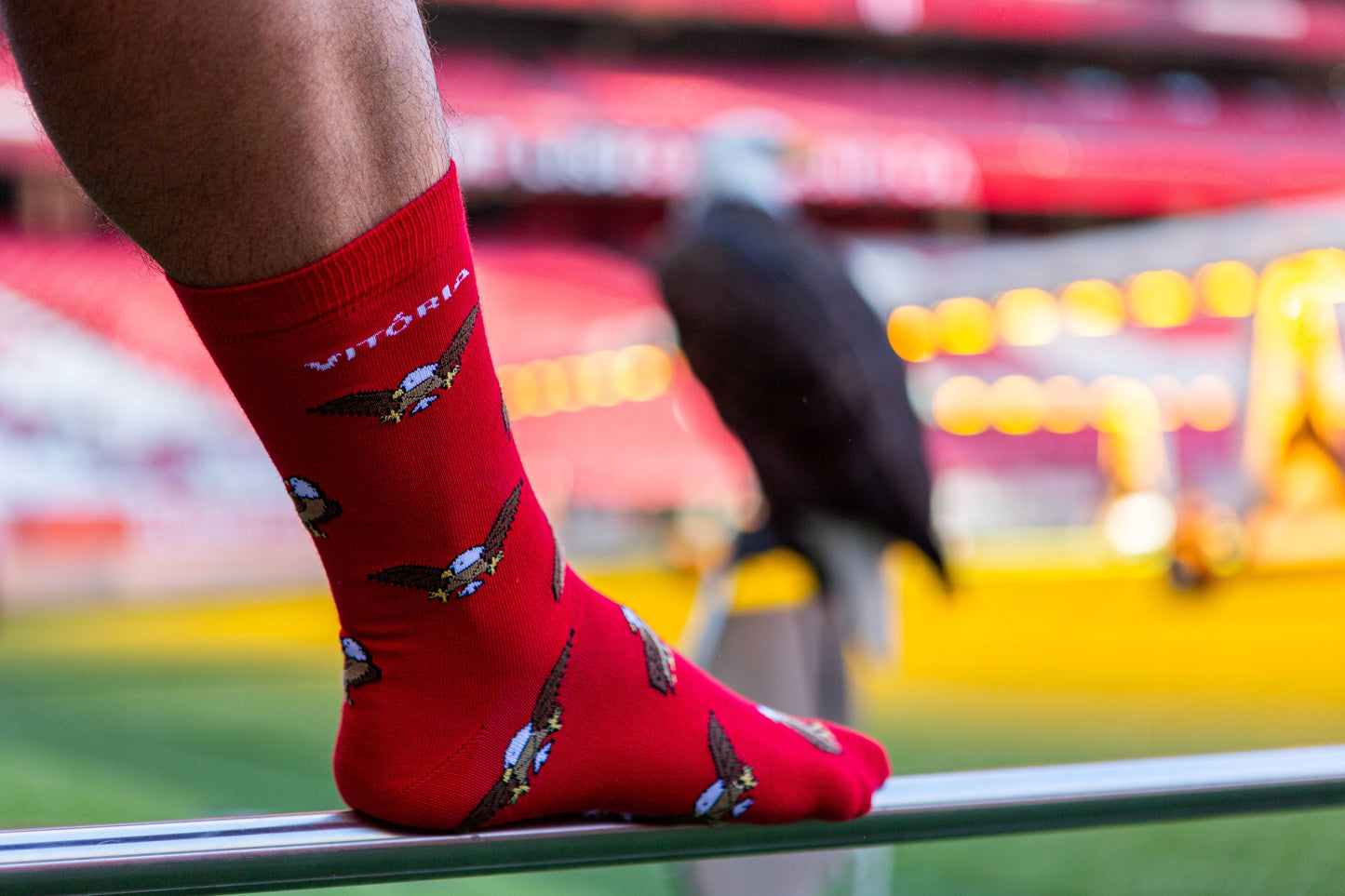 Chaussettes SL Benfica « Águia Vitória » – Mascotte - Chulé