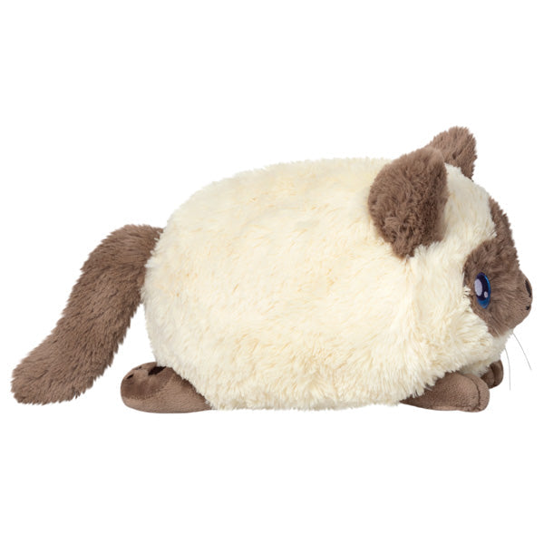 Peluche Mini Squishable – Chat Colorpoint