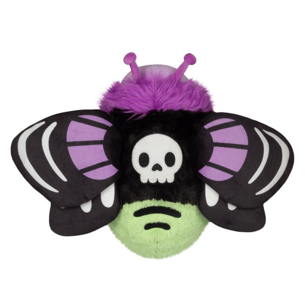Papillon de nuit