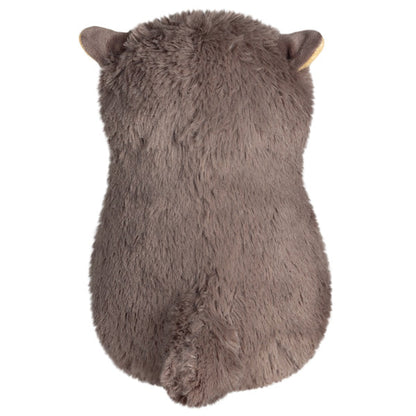Loutre naine d'Asie