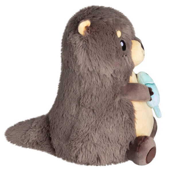 Loutre naine d'Asie